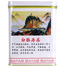 White Tea W5101 24x100g