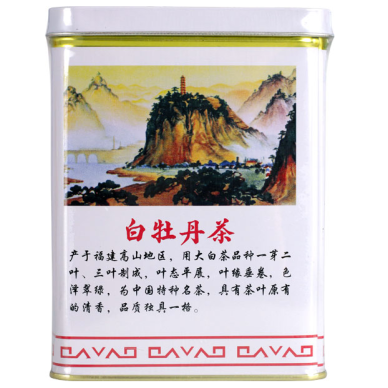 White Tea W5101 24x100g