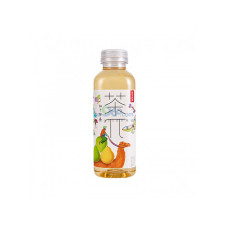 CN NFS Grapefruit Green Tea Drink 15x500ml