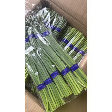 CN Fresh Suen Sum  Garlic Shoot 10kg
