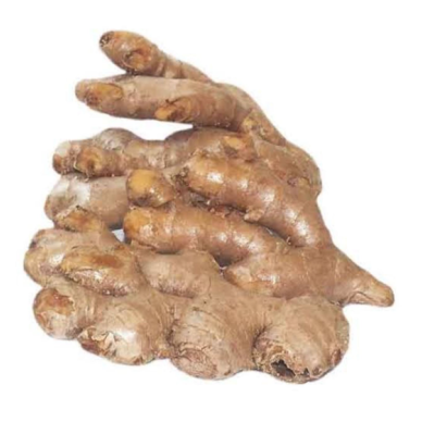 Ginger Brasil Super 13,5 kg