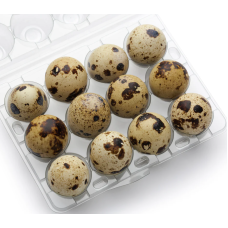 Fresh Quail Eggs 5x18pcs **