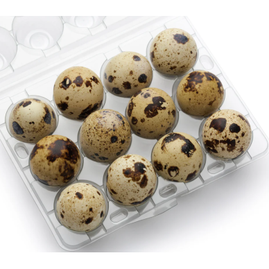 Fresh Quail Eggs 5x18pcs **