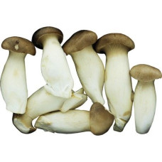 CN King Oyster Mushroom 4kg