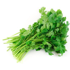 Koriander/Coriander 25 bunches  NL *PER BOX