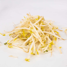 Yellow Bean Sprouts 12kg
