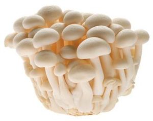 CN Snow White Mushrooms